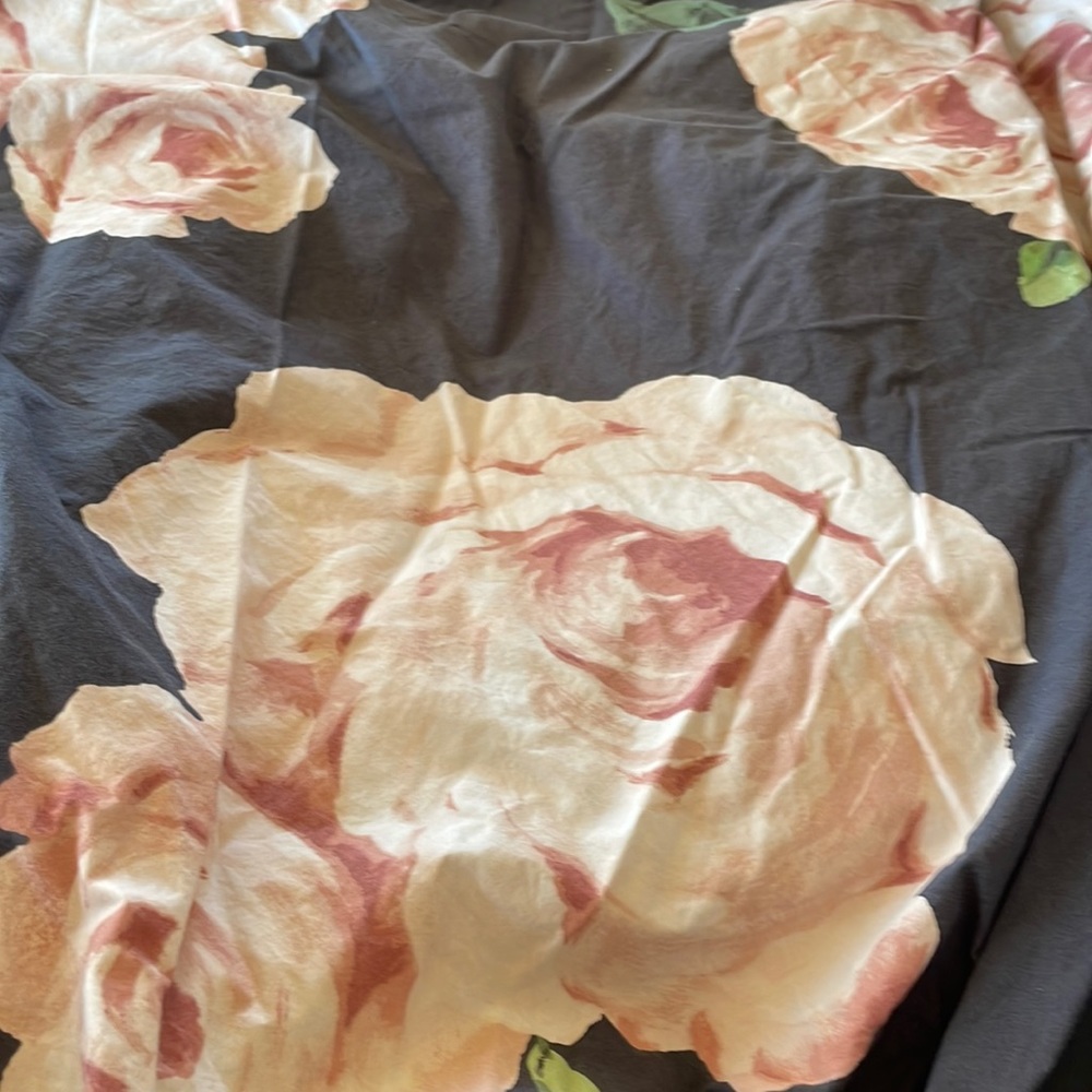 Pottery Barn Black Duvet Cover with Blush Rose Print